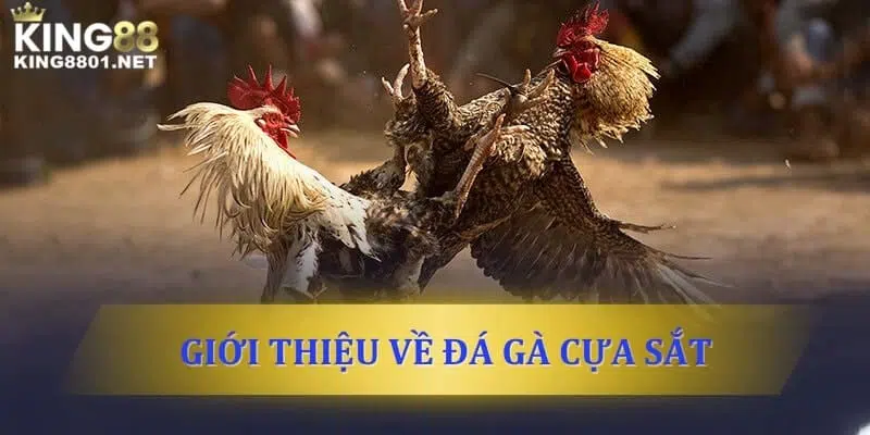 Giới thiệu về đá gà cựa sắt